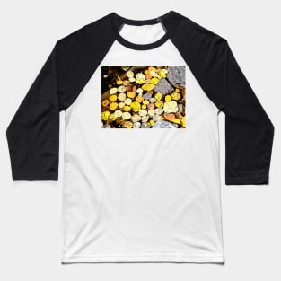 Aspen Leaves and Fall Colors in Colorado Baseball T-Shirt